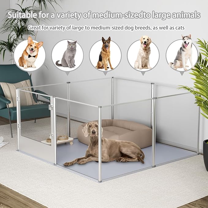 BingoPaw Clear Dog Playpen Fence: 32” Extra Tall Indoor Doggy Acrylic Pen Made by Metal Frame - 52”x52” Transparent Pet Whelping Box with Waterproof Bottom