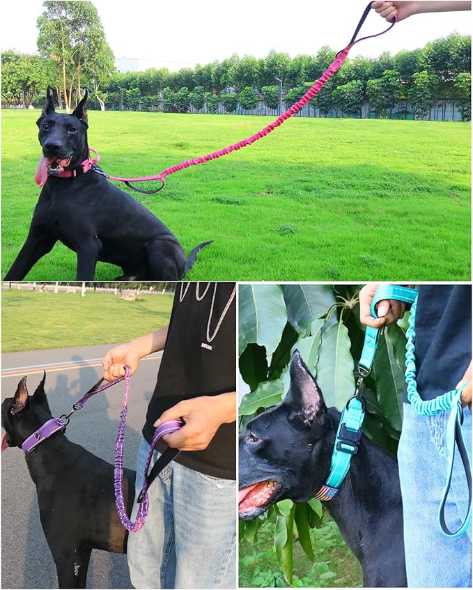 AUBELL Tactical Dog Collar and Leash Set, Reflective Adjustable Heavy Duty Military K9 Collars with Handle and Metal Buckle for Medium Dogs, with Airtag Case and 2 Patches(Pink,M)