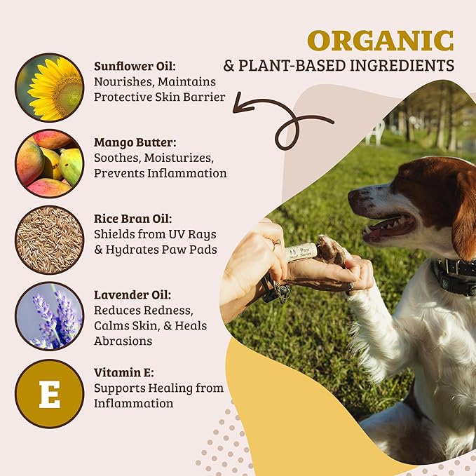 Natural Dog Company Pawtection Balm for Hot Pavement, Dry Cracked Dog Paws, and Rough Terrain - Safe, Non-Toxic, and Lick Safe - Protects Paws with Natural Ingredients, 0.15 oz Stick