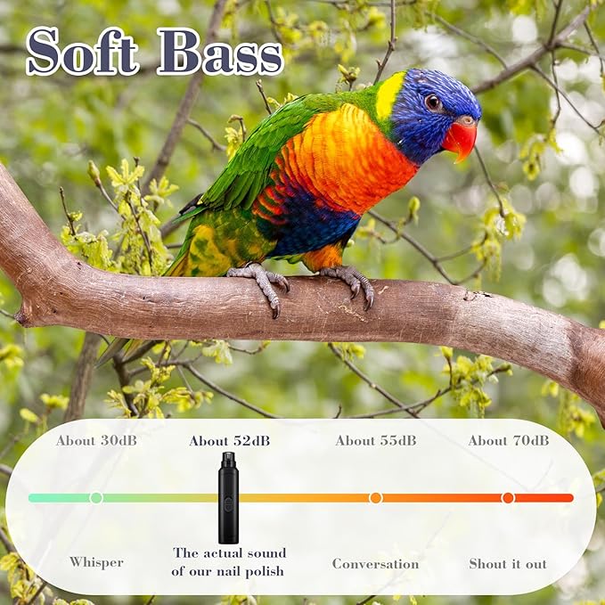 Lasnten 2 Pcs Bird Nail Grinder with Clipper Bird Nail Trimmer File Pet Grooming Tool for Parrot Budgerigars Parakeets Myna Conure Finches Lovebirds(Black)