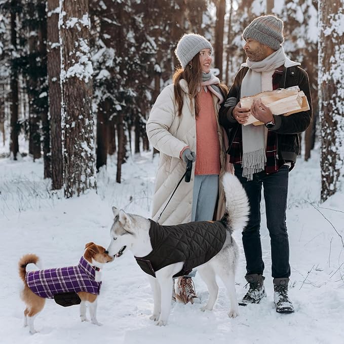 Kuoser Warm Dog Coat, Waterproof Dog Jacket for Extra Large Dogs, Adjustable Durable XXL Doggie Winter Coat Reversible Puppy Cold Weather Apparel from Small to Large Breed, Purple XXL