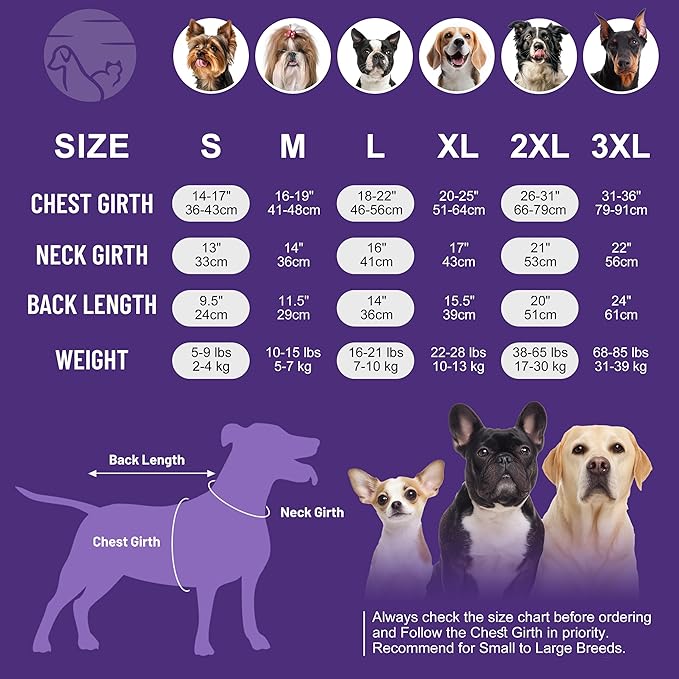 cyeollo Warm Dog Coat Sherpa Dog Winter Coat, Reversible Fleece Dogs Jackets Sweater Vest for Small Dogs Male with Leash Hole, Soft Cold Weather Pet Clothes, Fuchsia L