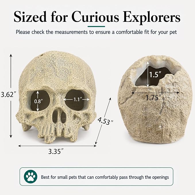 Skull Terrarium Decor Reptile Hideout for Tank(White) | Realistic Resin Skull Hideouts,Decorative Skeleton Head Caves for Betta Fish Juvenile Ball Python Gecko Tarantula