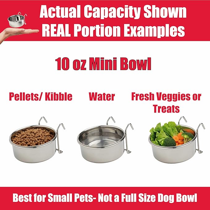 SPOT Stainless Steel Mini Coop Cup with Wire Hooks – 10 oz Small Pet Food & Water Bowl, Rust-Resistant & Easy to Clean, Attaches to Cages for Birds, Parrots, Rabbits, Ferrets, Rats & Small Pets