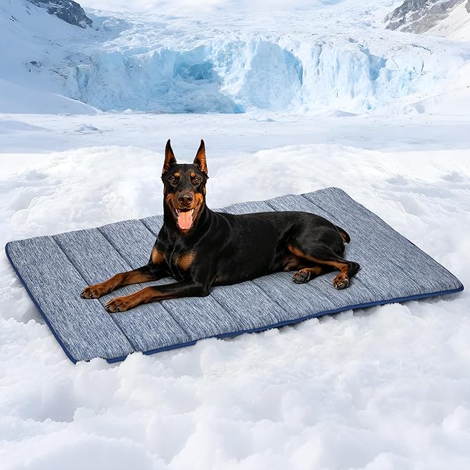 Cooling Dog Mat Q-Max>0.5 - Rapid Cooling Tech, Thin Breathable Crate Pad, Portable Washable Summer Mat, Chill Soothing Fabric - 47"x29" Extra Large Dog, Wander Blue