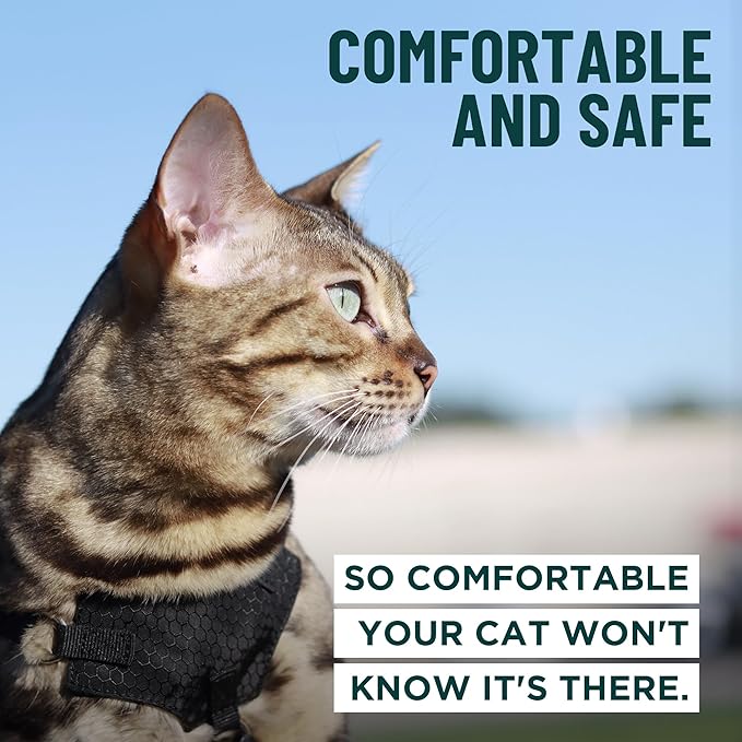 Houdini™ Escape Proof Cat Harness and Leash Set by OutdoorBengal – Tactical Vest for Walking – Comfy, Adjustable and Lightweight - Houdini Cat Harness Escape Proof for Cats + Cat Leash (Multicolor, M)