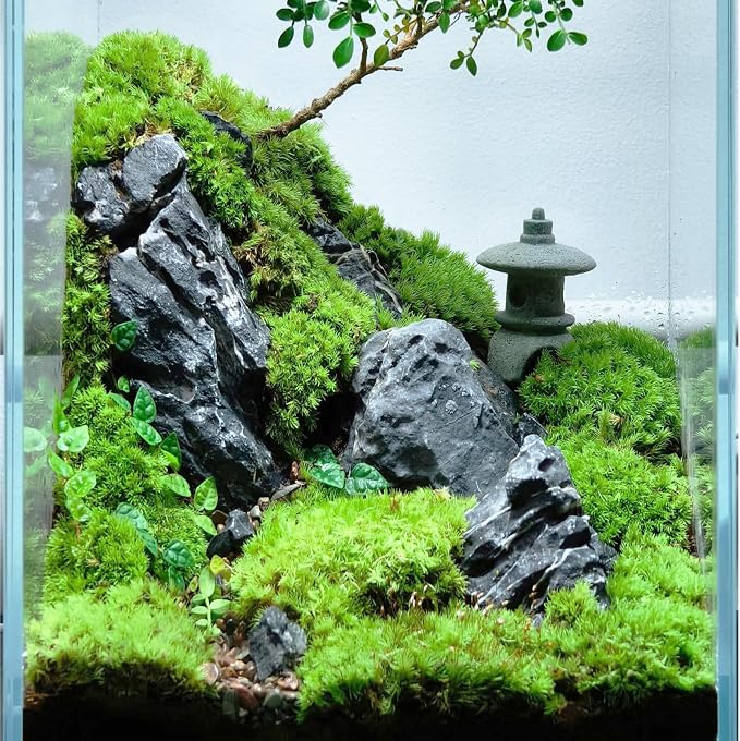 Natural Rocks Seiryu Stone 1-2.5 Inches Decorative Stones for Fairy Gardens,Miniature Landscaping,Bonsai,DIY Crafts, Aquariums & Reptile Terrariums-1lb