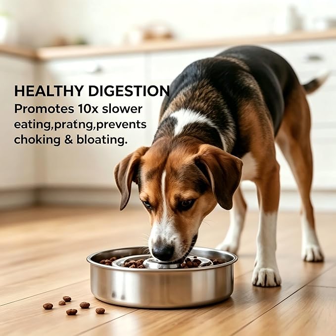 AIPERRO Slow Feeder Dog Bowl Stainless Steel, 2 Cups Metal Non-Slip Dog Food Bowls, Dogs Water Bowl for Small & Medium Sized Dogs, Fun Bloat Stop Pet Bowl for Fast Eaters, Slows Down Pets Eating