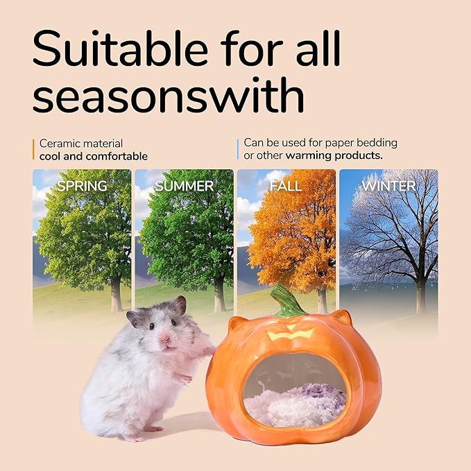 Pumpkin Shaped Ceramic Hamster Hideout - Small Pet House for Syrian Dwarf Hamsters, Gerbils, Mice, Rats