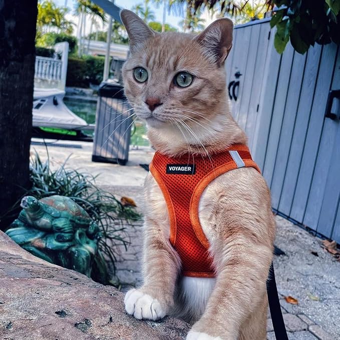 Best Pet Supplies Voyager Step-in Air All Weather Mesh Harness and Reflective Dog 5ft Leash Combo with Neoprene Handle, for Small, Medium and Large Breed Puppies - Orange, Medium