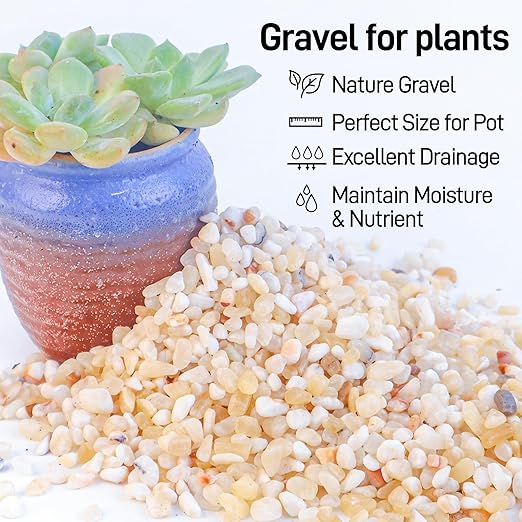 CJGQ 2.4lb Aquarium Gravel for Plants,1/5 Inch Natural Decorative River Rocks for Succulent and Cactus Landscaping, Natural Small Rocks for Fish Tanks, Vases & Terrariums