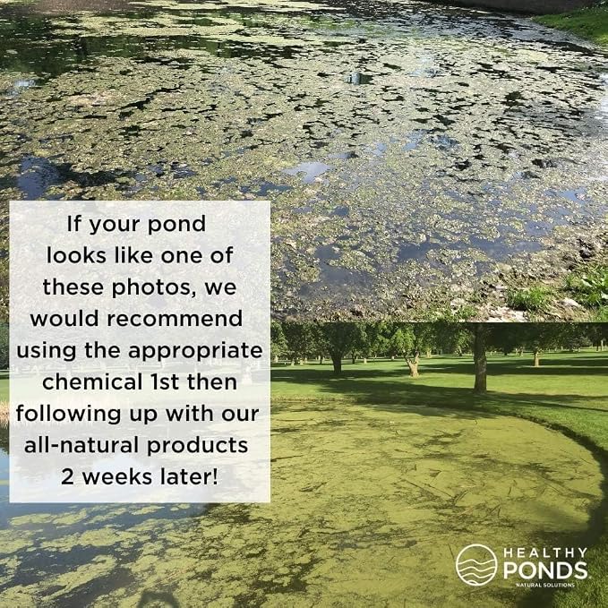 Healthy Ponds Aquasphere Pro Biodegradable Pond Treatment 2-Pack, Each Sphere Treats up to 12,500 Gallons | Biodegradable Pond Treatment 2-Pack