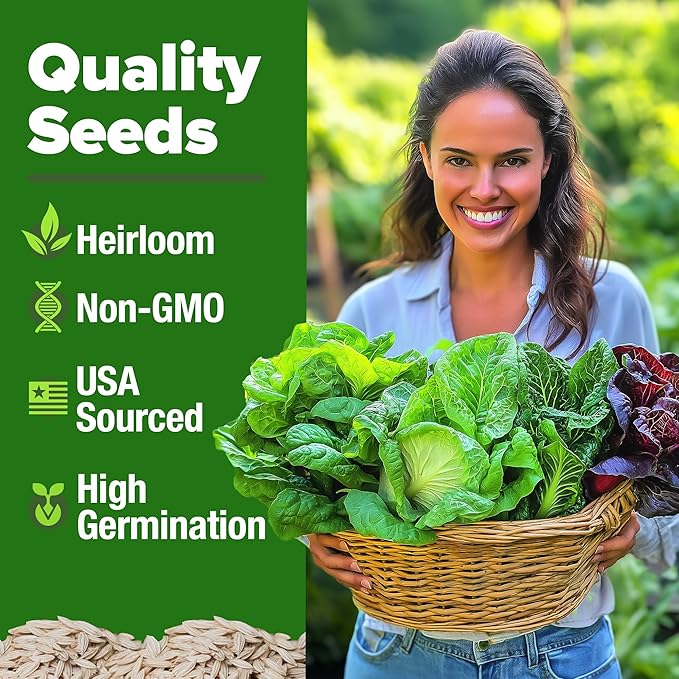 HOME GROWN Lettuce Seeds 5 Variety Mix 3950+ Bulk Pack Heirloom Non-GMO, High Germination, Romaine, Bibb, Buttercrunch, Iceberg, Black Seeded Simpson, Indoor Outdoor Hydroponic Garden (Lactuca sativa)