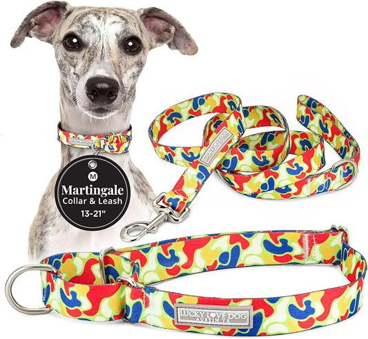 Lucky Love Dog Martingale Dog Collar & Leash - Adjustable, No-Slip, Durable, Comfortable, Soft Webbing, & Stylish Patterned Collar & Leash Set for Male and Female Dogs - Oscar Combo, Medium