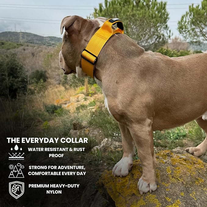 Heavy Duty Dog Collar, Tactical Dog Collar, Dog Collar for Large Dogs, Waterproof Dog Collar, Dog Training Collar, Quick-Release Metal Buckle, Adjustable Sizes – BULLYBREED (Yellow, Large)