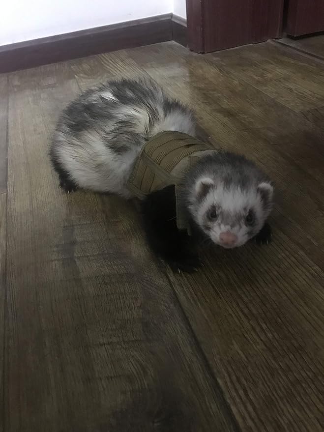 Ferret Clothes Small Animals Harness Military Style Adjustable Shoulder Straps Soft Mesh Comfort Durable Nylon Padded Vest Ferret Guinea Pig Hamster Bunny Kitten Puppy Small Pet Clothes Accessory