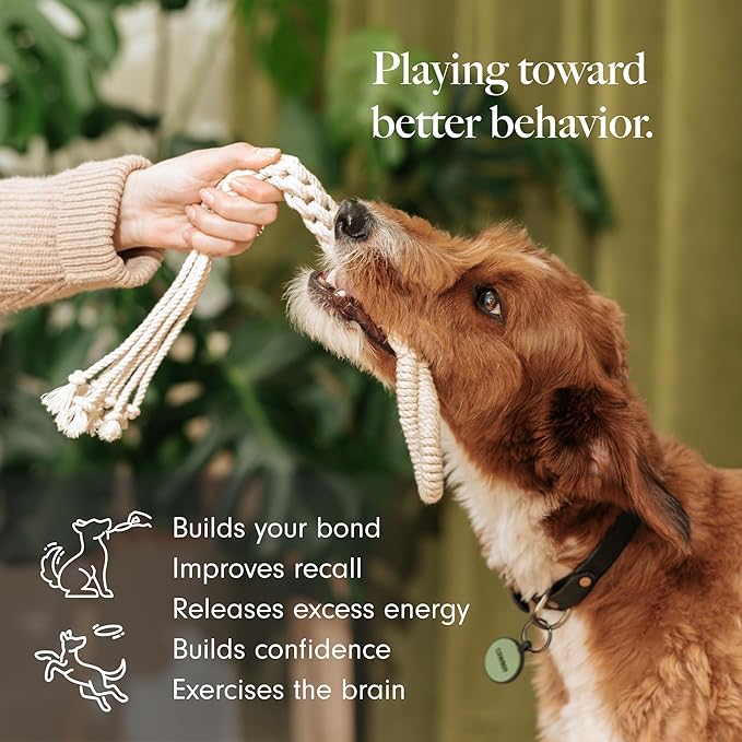 LAY LO Natural Cotton Dog Rope Toy for Small & Medium Dogs, Non-Toxic Rope Toy, 2-Pack Puppy Teething Toy, Durable Boho Dog Toys with Handle