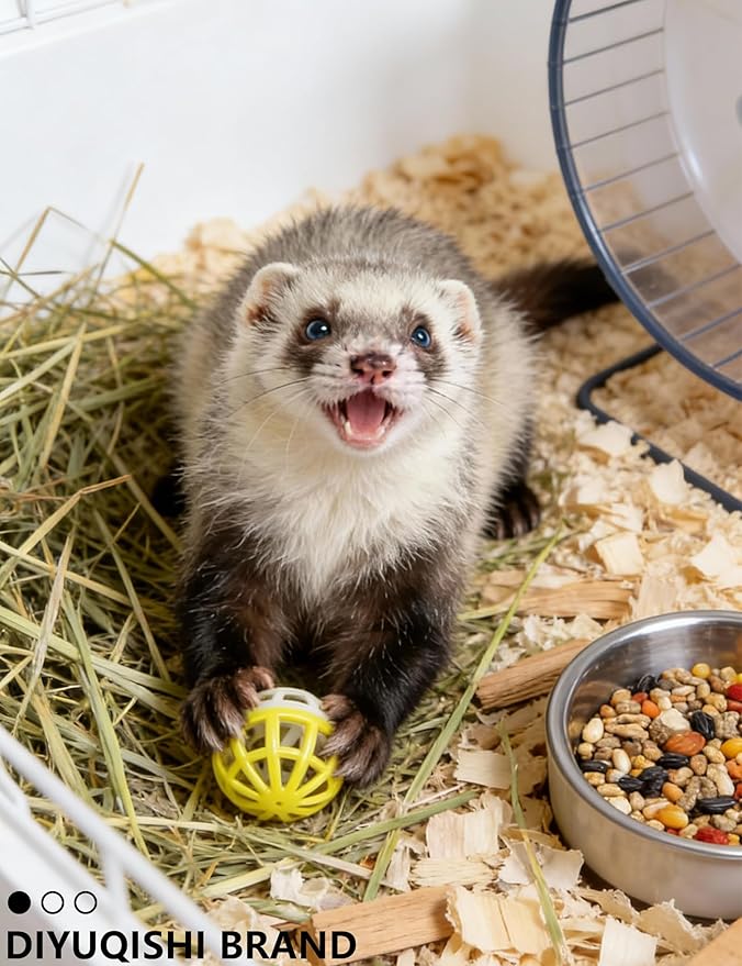 5-Pack Ferret Toys,1.5in Balls, Bells, for All Ferrets (1.5'')