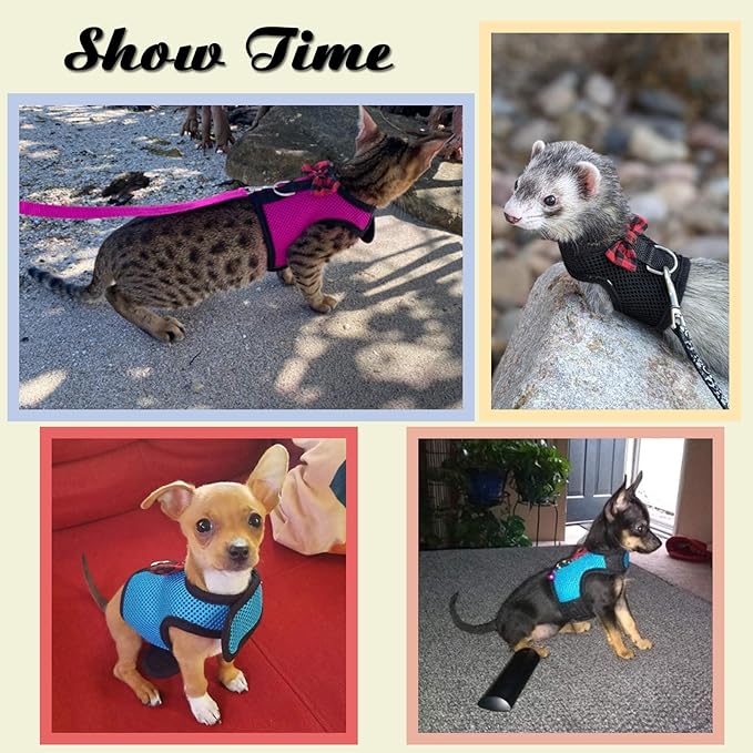 Rypet Small Animal Harness and Leash - Soft Mesh Pet Harness with Safe Bell, No Pull Comfort Padded Vest for Small Pet Pink