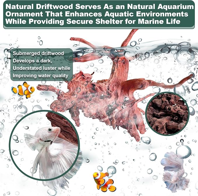 Natural Wood Driftwood for Aquarium Fish Tank Decor,Assorted Driftwood Trunk Branch for Reptile Tank Decor (LLM-Driftwood (10 to 12 Inch)-Pack of 2)