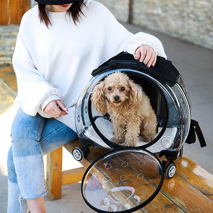 Cat Carrier with Silent Wheels Telescopic Handle, Transparent Bubble Cat Carrier, Pet Trolley Case with Clear Ventilation Holes, Portable Cats Dogs Backpack, Pet Rolling Carrier Bag for Hiki