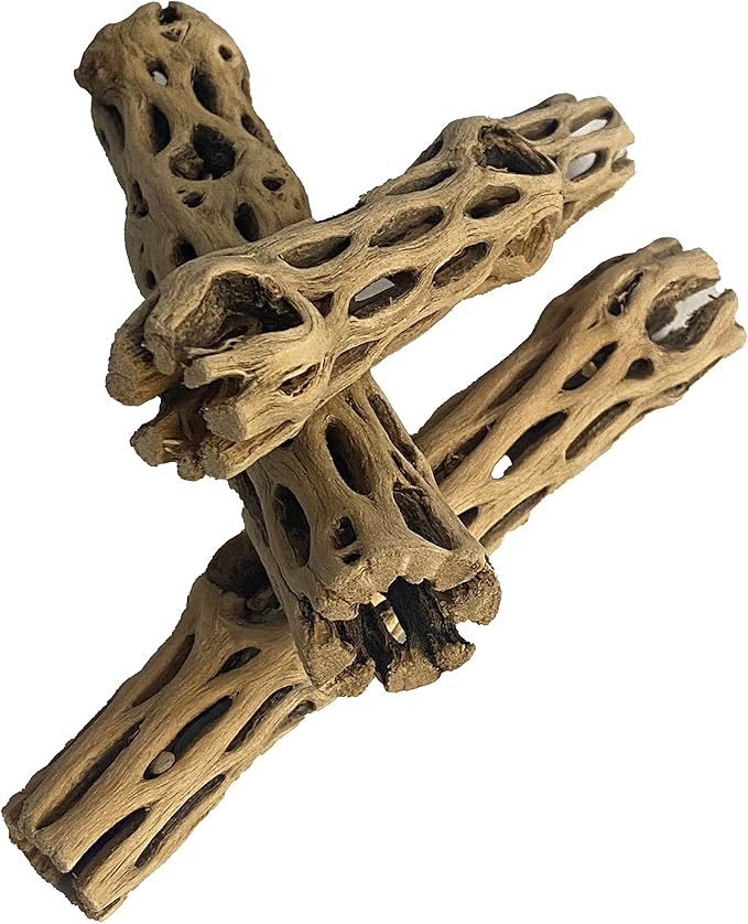 Awesome Aquatic Natural Staghorn Cholla Wood Tube, 3 Pack, 6 Inch | Biofilm surface Secure hiding places Shrimp habitat Pleco shelter Hermit crab climbing Aquarium décor Terrarium décor