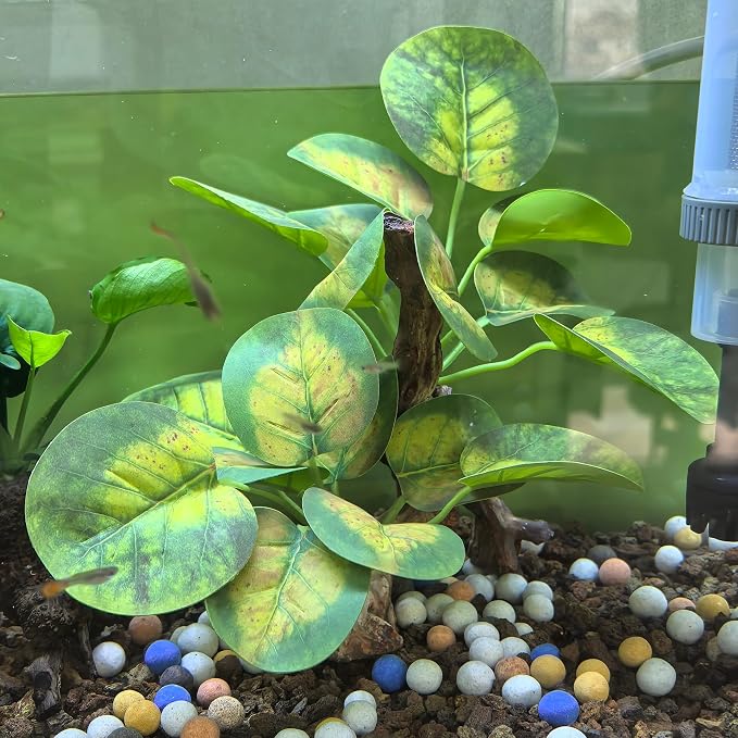 M2cbridge Fish Tank Plastic Soft Grass Water Plants Round Leaves 2pcs | zero maintenance, soft without scratching, healthy underwater home