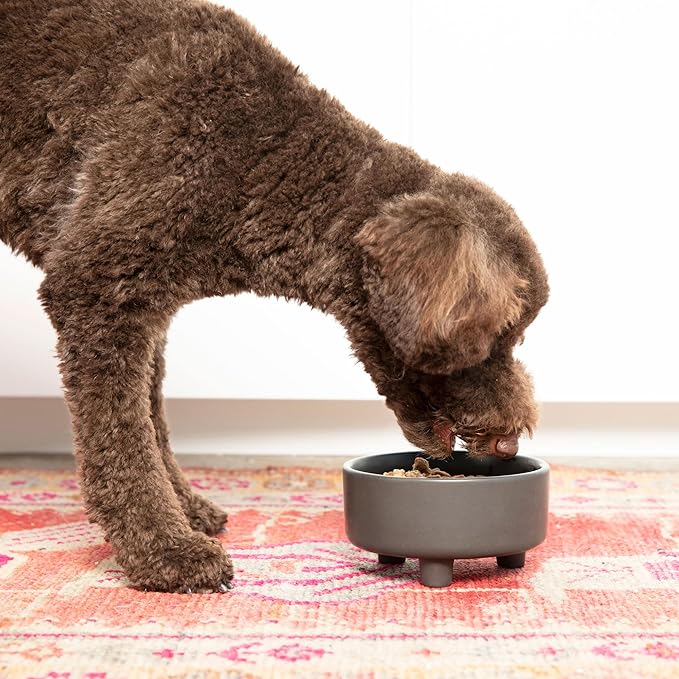 Waggo Uplift Ceramic Dog Bowl for Small Medium and Large Breeds - Set of 2 Heavyweight and Durable Pet Food and Water Dish Crock, Dishwasher Safe, Modern, Elevated Feeder (Black, Medium)