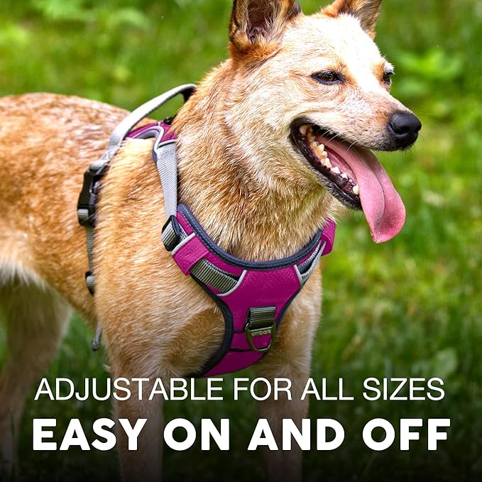 Embark Adventure Dog Harness for Small, Medium & Large Dogs – No Pull, Reflective Trim, Military Grade Nylon, 2 Leash Clips, Gel-Lined Handle, Soft Padded