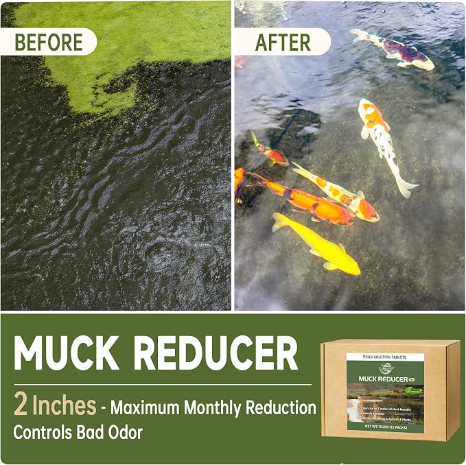 LMJP Muck Reducer for Ponds, Sludge Solution, Away Muck, Odor Control, 15LB | Pond & Lake Cleaning, Natural Beneficial Bacteria & Enzymes, Safe for Fish, Wildlife & Recreation, Treats Up To 90,000 Sq Ft