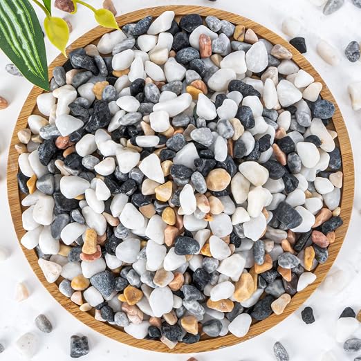 Sukh Mix Color Pebbles for Cactus - 420G Polished River Stones | 1/5 Inch Cactus Gravel Pebbles, Natural Decorative Small River Rocks for Gardening, Vases, Landscaping and Fish Tanks