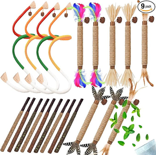 Cat Toys 21PCS Catnip Toy for Indoor Kitten Toys Cat Chew Stick for Dental Cleaning Teeth Cat Silvervine Matatabi Rope Treat Kitty Feather Snack for for Kick Molar Scratch Self Play