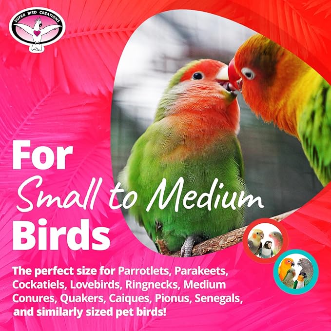 Super Bird Creations SB1217 Cardboard Treat Block - Interactive Chewing and Foraging Bird Toy for Medium Birds - Medium Conures, Parrots, Ringnecks - Encourages Exploration and Physical Exercise