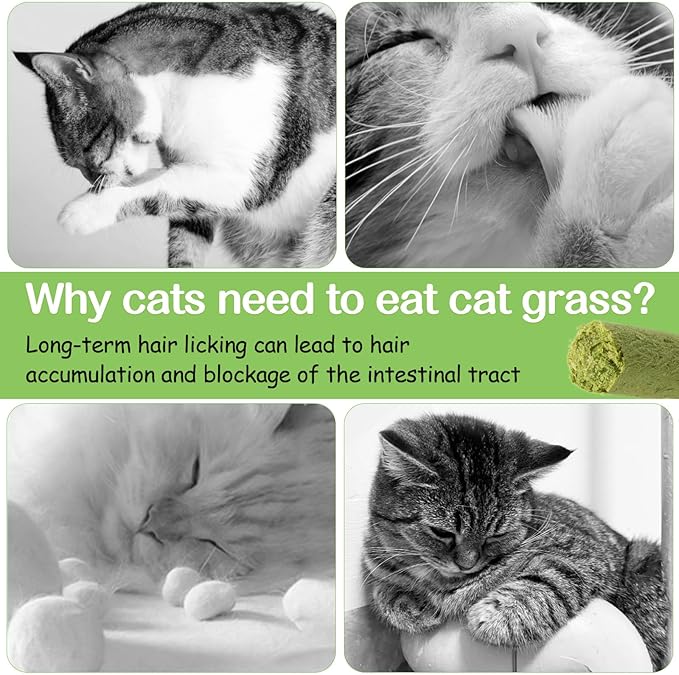 50g Cat Grass Teething Stick, Freezed Drying Cat Grass Sticks Snacks for Cats, Edible Cat Treats for Teeth Cleaning and Hairball Removal