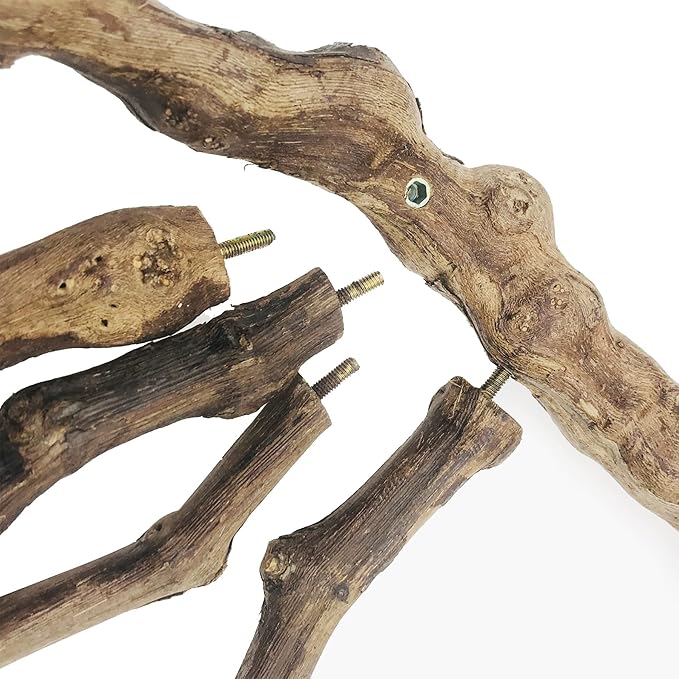 6 PCS Bird Perch Stand Natural Grapevine with Chewing Toys for Parrots, Parakeets, Cockatiels, Conures, Macaws, Love Birds (Style 8)