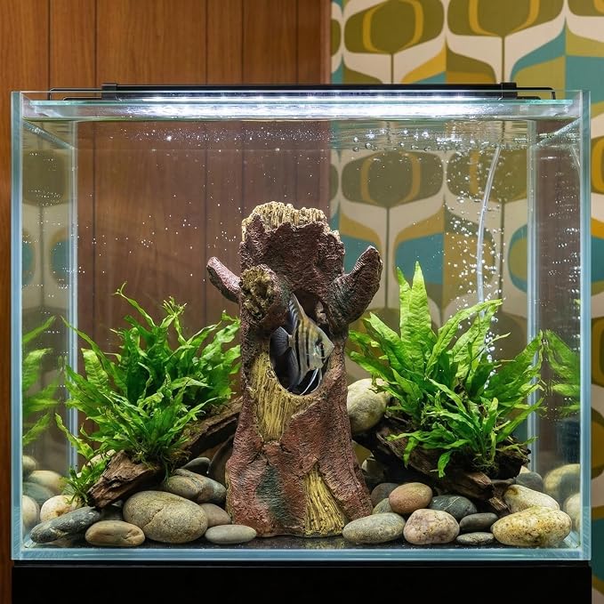 DECHOUS Aquarium Decor Resin Hollow Tree Trunk, Fish Tank Hideout Cave Simulation Driftwood Root Terrarium Accessories for Betta Fish, Shrimps, Reptiles Amphibians
