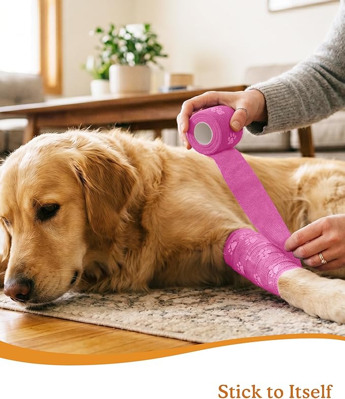 Paw Design Self Adhesive Wrap, First Aid Medical Tape for Dogs Cats & Horses, Elastic Bandage for Daily Paw & Leg Care, 2 Inch 8 Rolls, Lake Breeze Paw