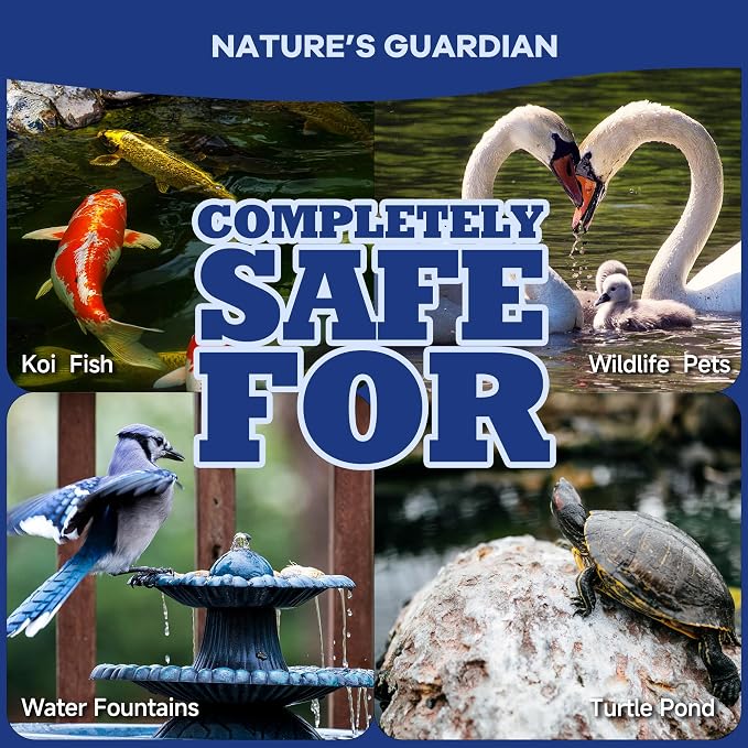 Dr.Raifya's Pond Fresher-Water Clear & Odor Control for Pond & Fountain-5OZ | Natural Enhanced Cleaning Power, Beneficial Bacteria & Enzymes, Improves Water Clarity, Safe for Fish, Birds, Pets & Wildlife