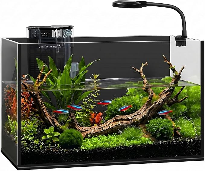 2 Gallon Small Fish Tank with Light and Filter Desktop Aquarium Starter Kit | Betta and Shrimp Habitat with Lid, Gravel, Plants and Tools; Beginner-Friendly Aquascaping for Bedrooms and Offices