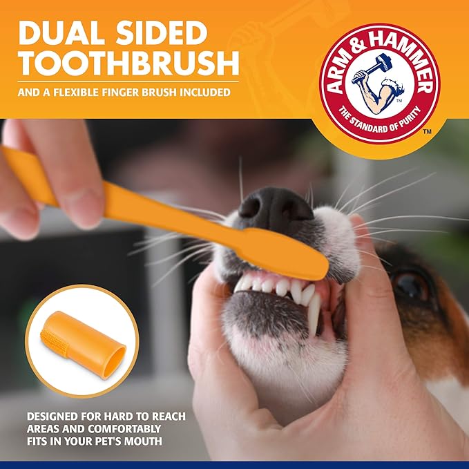 Arm & Hammer for Pets Tartar Control Dog Dental Kit, Enzymatic Toothpaste with Toothbrush and Fingerbrush, Baking Soda Formula Reduces Plaque and Tartar, Safe for Puppies, Beef Flavor, 3 Pc - 48 Pack