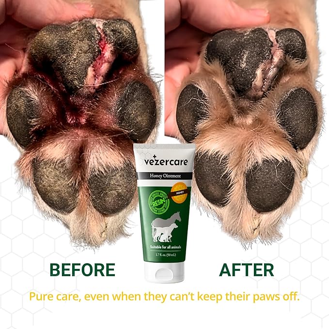 Honey Balm Ointment with Spruce Resin for Dogs, Cats & Horses, Natural Wound Care Gel, Hot Spot Treatment, Itchy Skin Relief, Dog and Cat Wound Care, 1.7oz, Made in Finland, Antifungal & Steroid Free