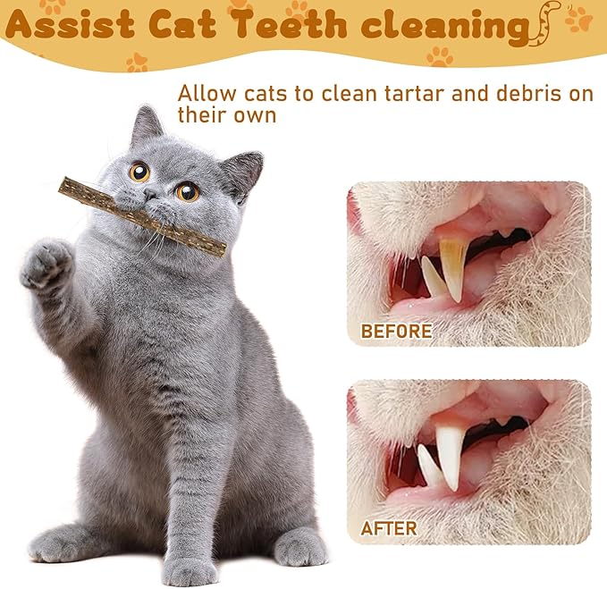 WoLover Silvervine Sticks for Cats, Natural Catnip Matatabi Chew Sticks Teeth Molar Chew Toys for Cat Kitten Kitty (25 PCS)