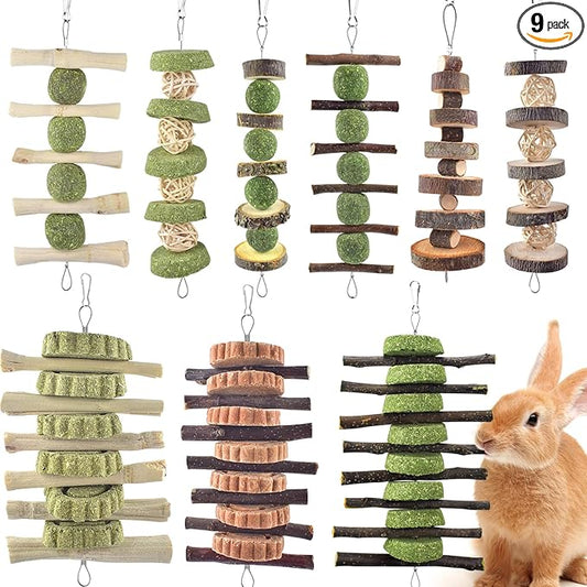 ERKOON Bunny Chew Toys, Rabbit Chew Toys for Teeth Grinding, Improve Dental Health, 100% Natural Apple Wood Timothy Grass Cake Treats for Rabbits Guinea Pigs Chinchillas Bunnies Hamsters (9 Pcs)