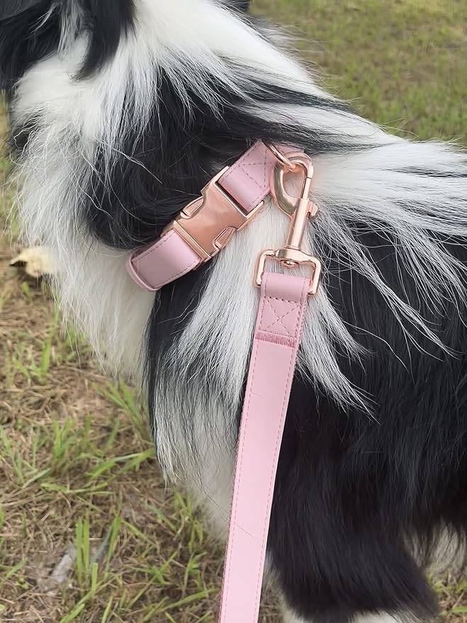 Dog Collar and Leash Set.Soft and Easy to Clean Vegan Leather with Rose Gold Metal Buckle for Small Medium Large Dogs (Pink, S(12.2"-16.9"))