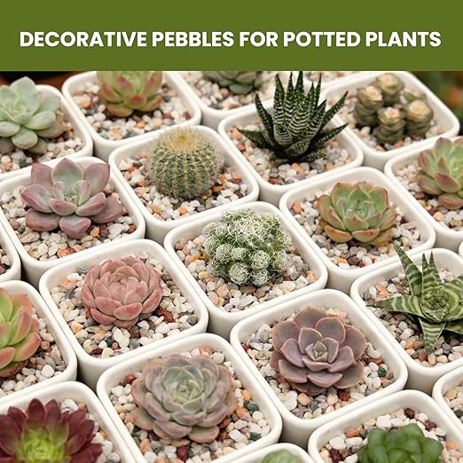 1/8 Inch Natural Aquarium Gravel, Small Pebbles for Fish Tank, Indoor Plants & Succulents, Mixed Color Mini River Rocks for Drainage, Terrarium, Top Dressing & Vase Filler, 3 lb