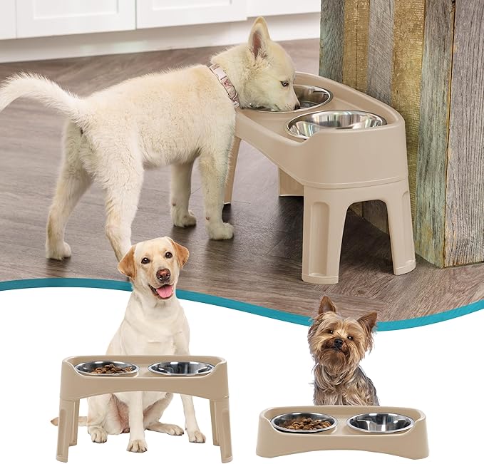 IRIS USA Elevated Dog Bowls Adjustable Stand, Raised Feeding Station with 2 Stainless Steel 64 oz Bowls, Spill Guard, Dual Height 12.25" or 4.63", Made in USA, Almond