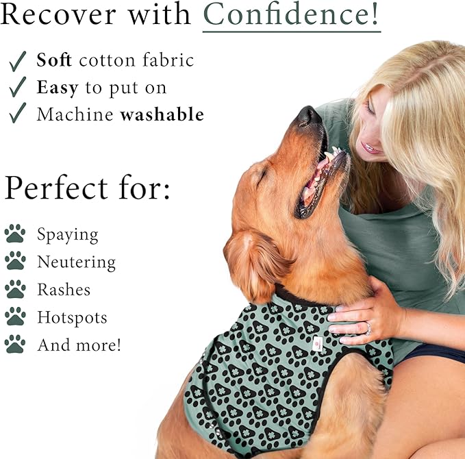 BellyGuard Dog Surgery Recovery Suit, Dog Onesie for Post-Op Care, Recovery Apparel for Female and Male, Surgical Body Cover for Canine Healing Support