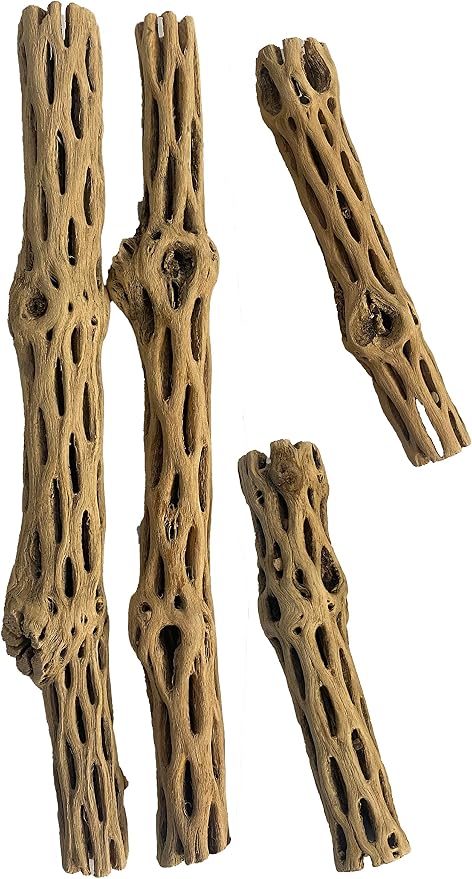 Awesome Aquatic Staghorn Cholla Wood Tubes, 4 Pack Combo, 6 & 12 Inch | Biofilm surface Secure hiding places Shrimp habitat Pleco shelter Hermit crab climbing Aquarium décor Terrarium décor