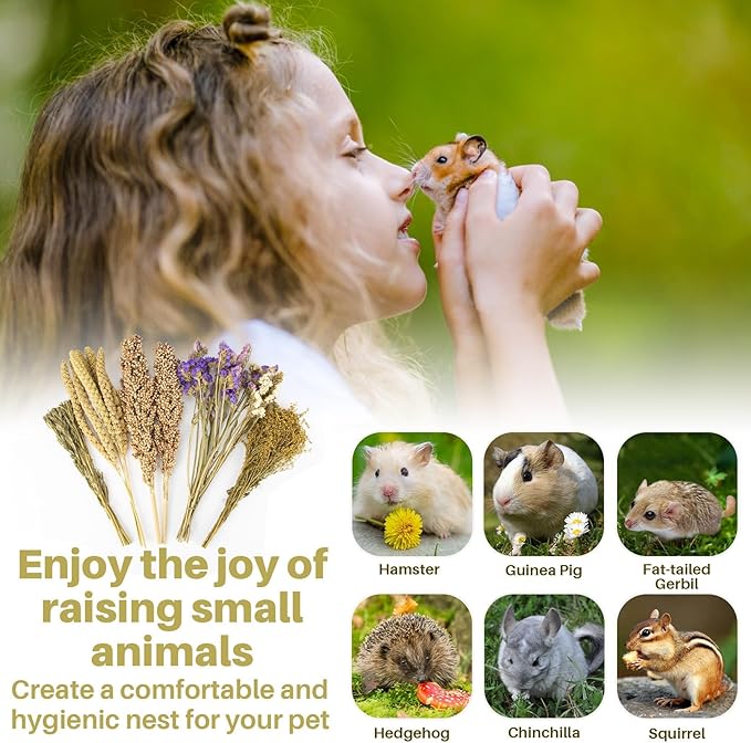 Sukh Natural Hamster Bedding Sprays - Foraging Habitat Decor Cage Accessories, Hideout Enrichment for Dwarf & Syrian Hamsters, Gerbils, Mice and Other Small Animals