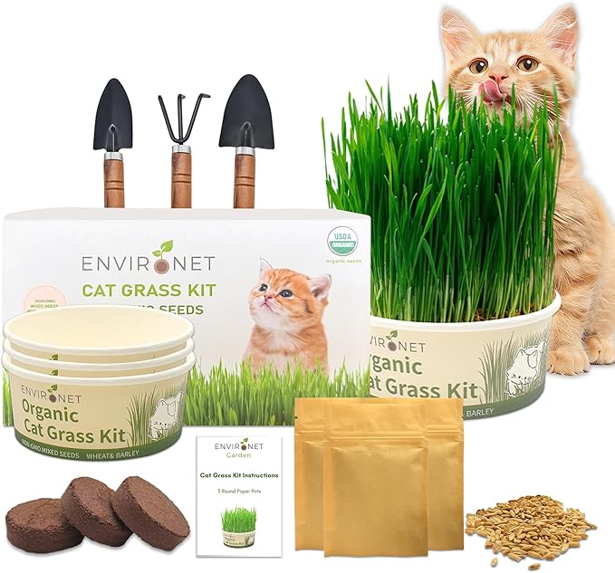 Cat Grass Kit for Indoor Cat, Organic Grass Growing Kit with Seeds, Soil and Planting Tools, Quick Germination, Perfect for Beginners